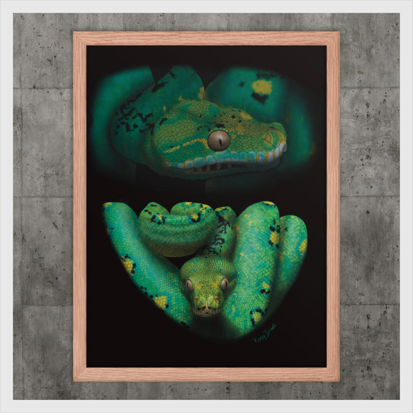 Green Tree Python Retro Portrait Series Framed poster