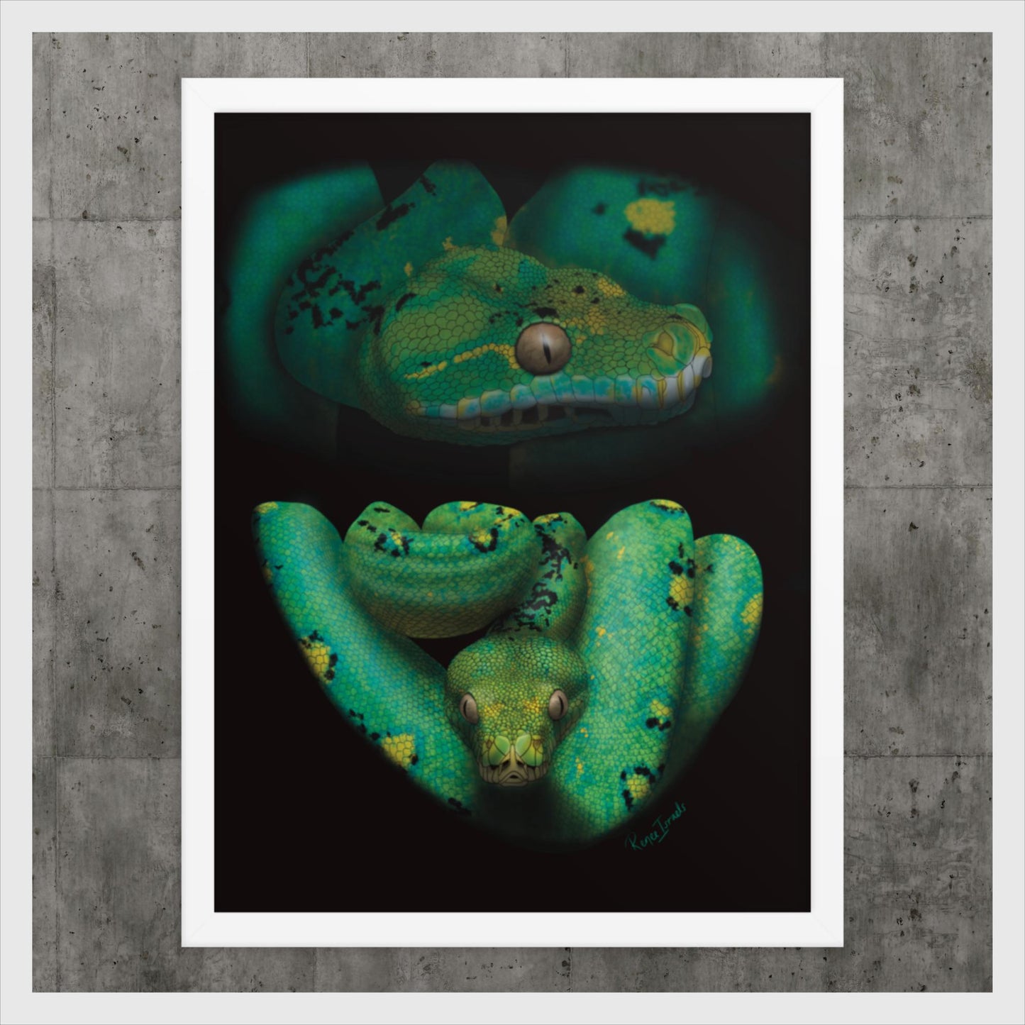 Green Tree Python Retro Portrait Series Framed poster