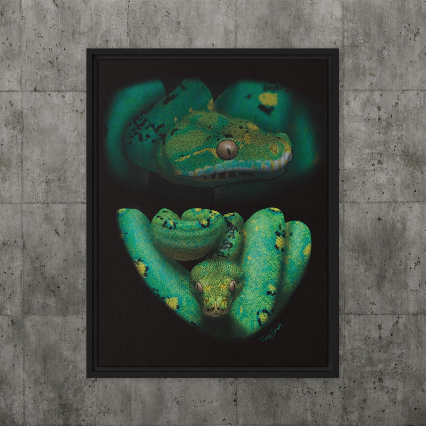 Green Tree Python Retro Portrait Series Framed canvas