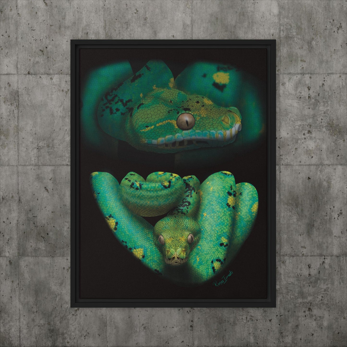 Green Tree Python Retro Portrait Series Framed canvas